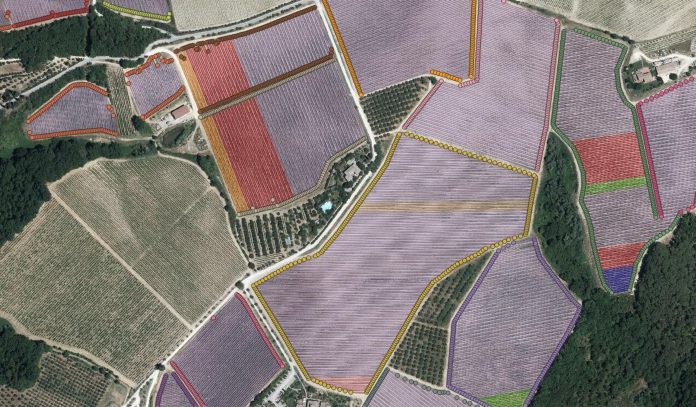 immagini satellitari