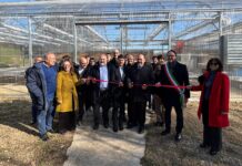 Sementi biologiche e serre hi-tech: il Crea punta sul bio crea