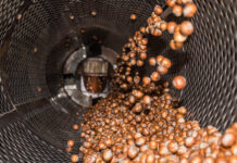 Nocciole piemontesi: prezzi record ma mercato in affanno