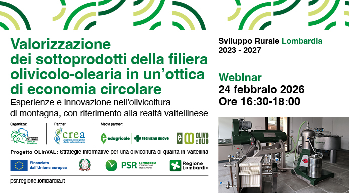An image representing Webinar: Valorizzazione dei sottoprodotti della filiera olivicolo-olearia in un’ottica di economia circolare