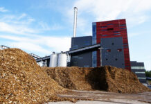 Biomassa legnosa e Pmg: cosa succede dopo il «Dl Bollette» biomassa