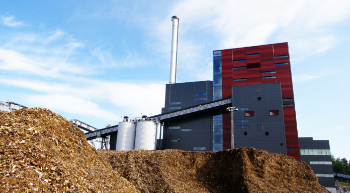 Biomassa legnosa e Pmg: cosa succede dopo il «Dl Bollette» biomassa