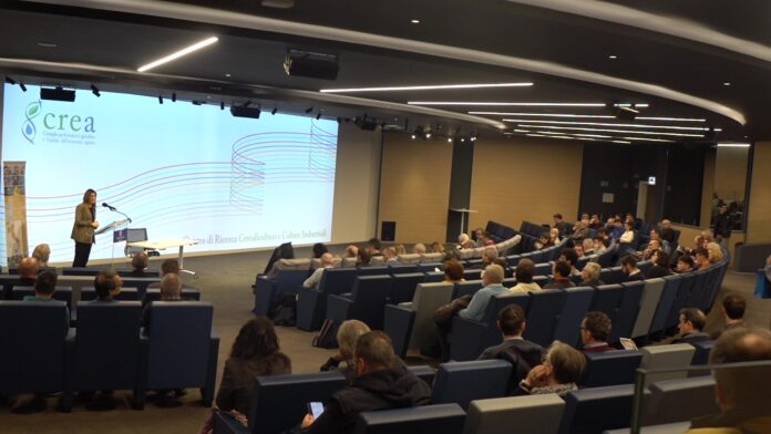 mais giornata bergamo mais