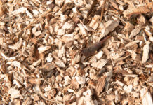 Biomassa legnosa, l’Europa detta nuove regole biomassa