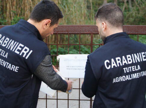 Aiuti Pac, carabinieri scoprono truffa da 1,4 milioni aiuti Pac
