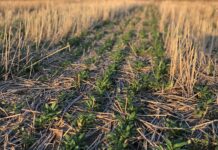 L’Europa in missione per salvare il suolo