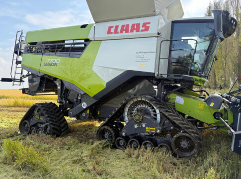 Riso, l’evoluzione del cingolo cingolo