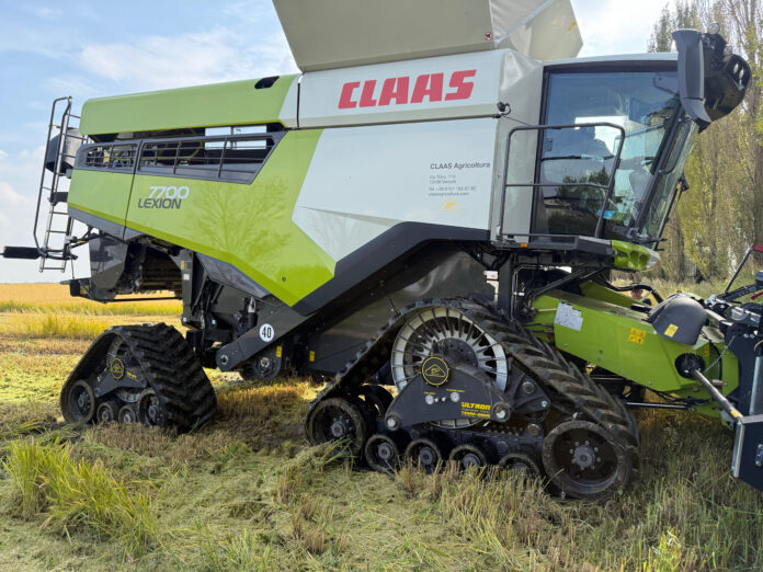 Repetti_cingoli_foto1A_apertura cingolo