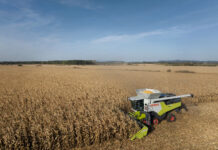 dimensioni aziendali