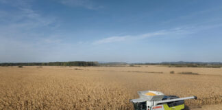 Quanto contano le dimensioni aziendali dimensioni aziendali