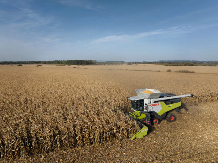 dimensioni aziendali