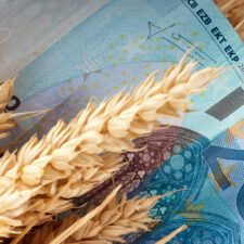 Prezzi agricoli Ue in calo del 5,8% nel secondo trimestre