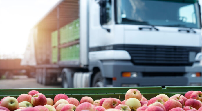 Export record per l’ortofrutta italiana: superati i 6,6 miliardi