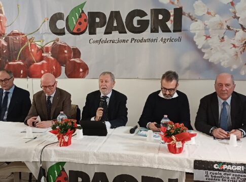 Copagri, la disponibilità di acqua è priorità assoluta acqua