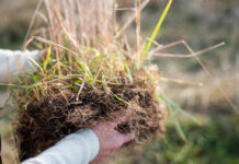 Crediti di carbonio, regole europee in rampa di lancio crediti di carbonio