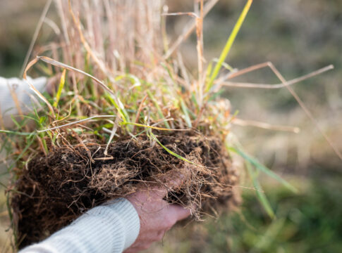 Crediti di carbonio, regole europee in rampa di lancio crediti di carbonio