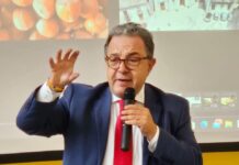 Clima e caro energia, Agrocepi chiede un piano straordinario