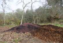 bioeconomia circolare