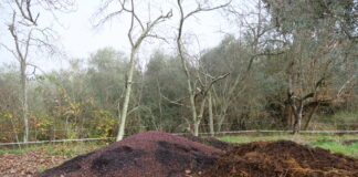 bioeconomia circolare