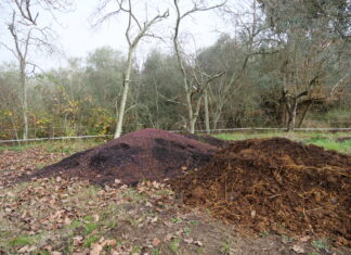 bioeconomia circolare