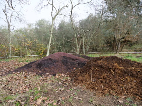 Valorizzare le biomasse: la bioeconomia circolare come leva per le Pmi italiane bioeconomia circolare