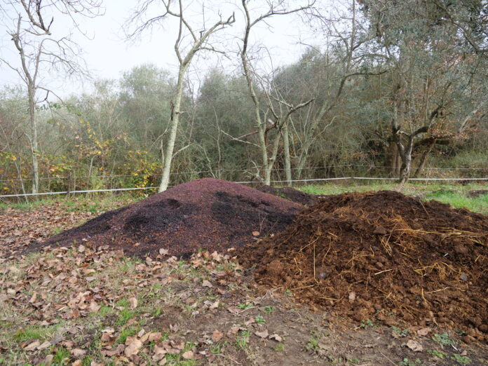 bioeconomia circolare