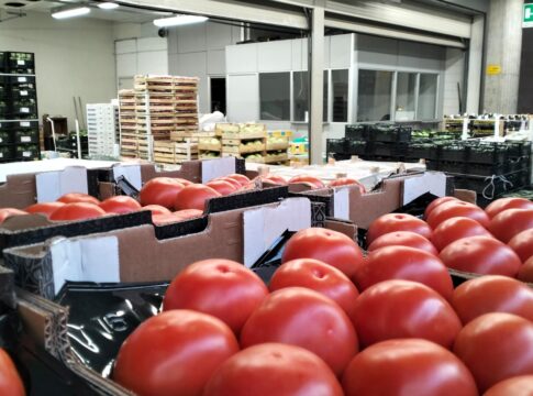 Effetto Medio Oriente: sui mercati all’ingrosso prezzi degli ortaggi fino a +32%