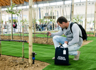 Guida a Macfrut 2026: gli appuntamenti da non perdere tra innovazioni e filiere