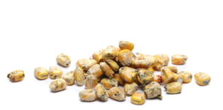 micotossine