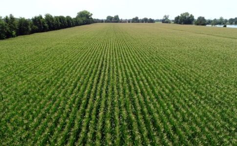 fondo sovranità alimentare
