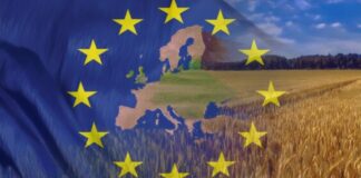 agricoltura europea
