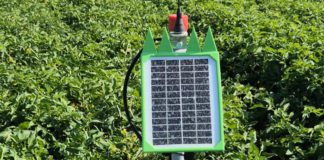 Risparmiare sui costi di irrigazione si può, ecco come