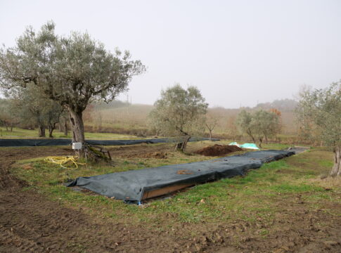 piattaforma bioeconomia circolare