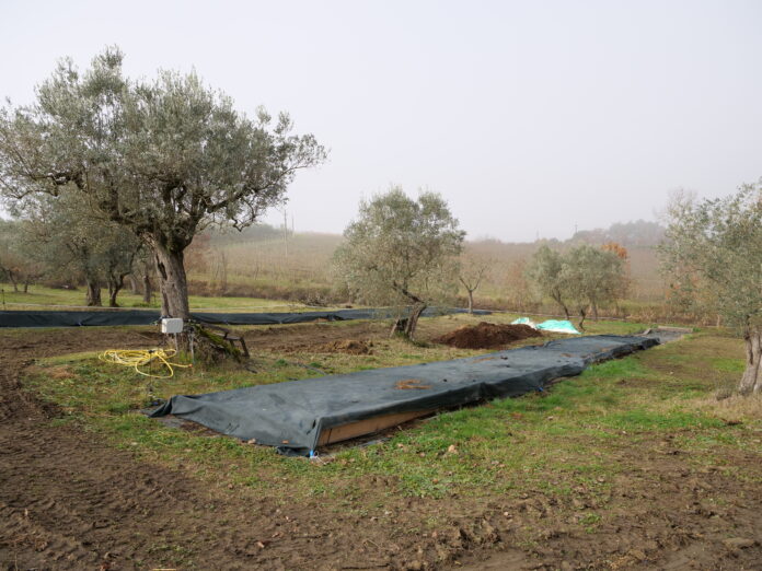 piattaforma bioeconomia circolare