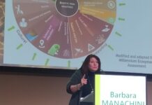 nematodi manachini giornate fitopatologiche