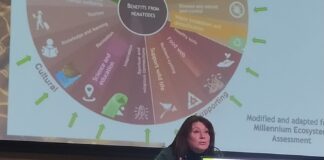 nematodi manachini giornate fitopatologiche