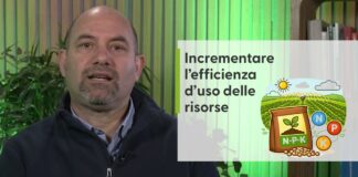 Biostimolanti, come massimizzarne l’efficacia in pieno campo