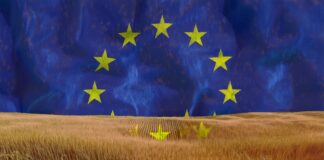 agricoltura europea