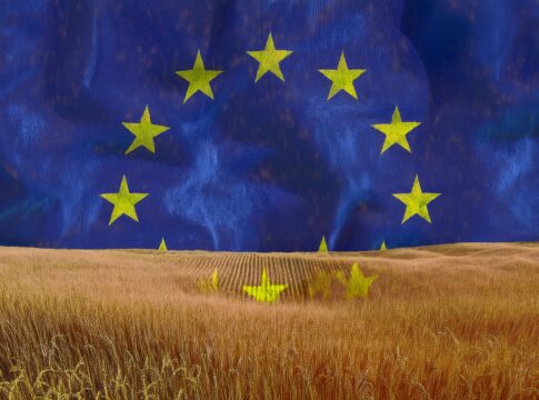 L’Ue riscrive le regole dell’agricoltura europea agricoltura europea