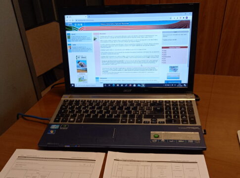 Domanda unica