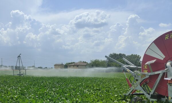 Liguria, bando da 19,6 milioni per gli investimenti delle aziende agricole