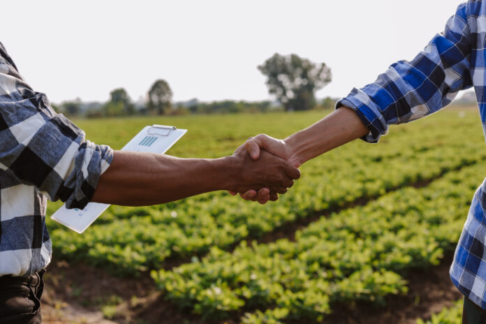 Vendita-in-piedi-1-ok-AdobeStock_1771151354_Farmers shaking hands making an agreement in field vendita