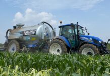 Digestato liquido, ideale per fertilizzare il mais digestato