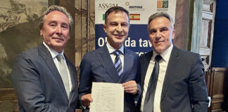Olive da tavola, nasce Efoi: la filiera mediterranea cerca peso politico in Europa