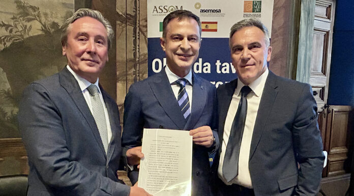Olive da tavola, nasce Efoi: la filiera mediterranea cerca peso politico in Europa