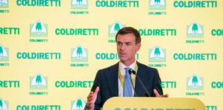 Ettore Prandini