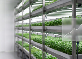 Startup agritech, il valore strategico del pitch