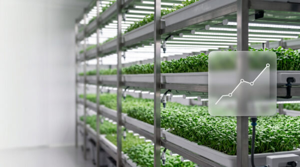 Startup agritech, il valore strategico del pitch