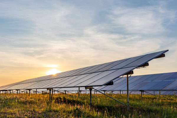 Usi civici e agrivoltaico: verso una nuova convivenza