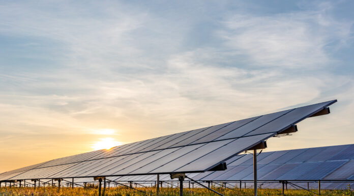 Usi civici e agrivoltaico: verso una nuova convivenza
